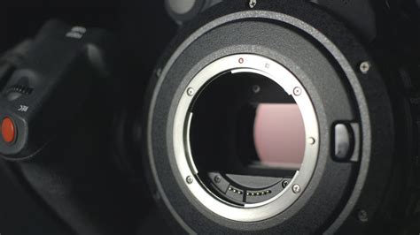 FAQ: What are the Different Camera Sensor Sizes? - Adorama