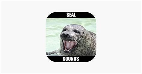 ‎Seal Sounds & Seal Barking on the App Store