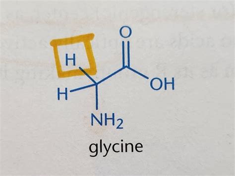 12 Biochemistry Amino Acids Peptides And Proteins Flashcards Quizlet