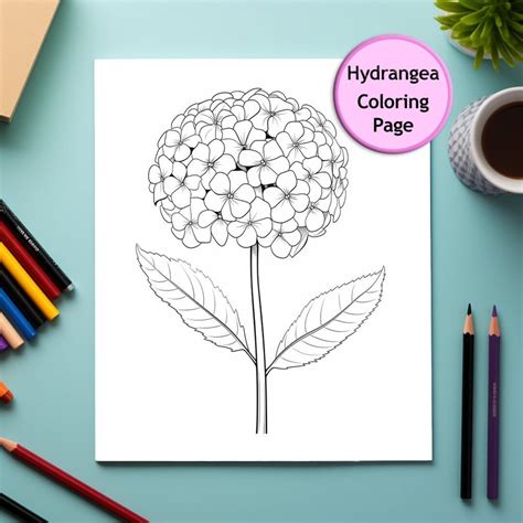 Hydrangea Flower Coloring Page Flower Portrait Printable Coloring