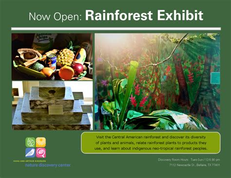 Rainforest Exhibit Now Open In Discovery Rooms Nature Discovery Center