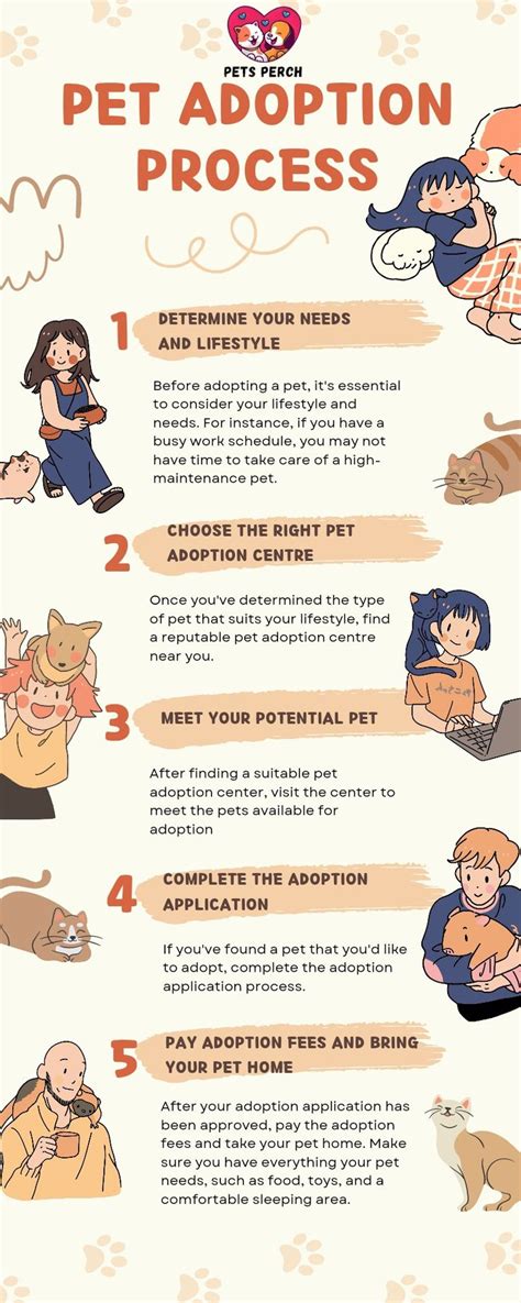 Pet Adoption Process Explained | Pet adoption center, Adoption process, Adoption