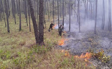 Destacamento Militar Norte Participa En Sofocaci N De Incendio En El