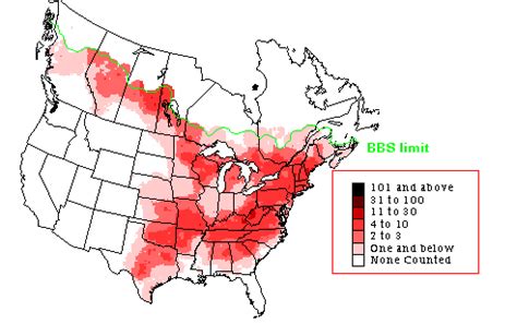 Eastern Phoebe - Breeding Range Map