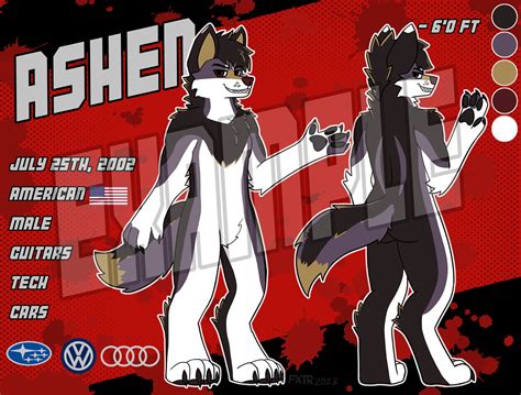 Male Wolf Reference Sheet Base Png File Etsy