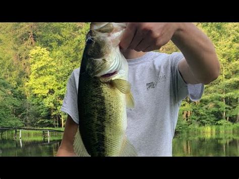 Nice Bass Exploding On Whopper Plopper Topwater Fishing Topwater