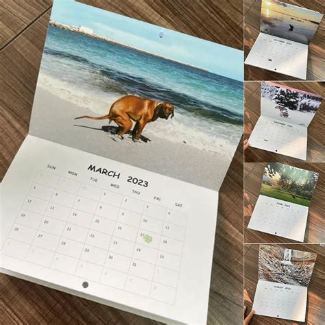 Cute Animal Calendar – awishday