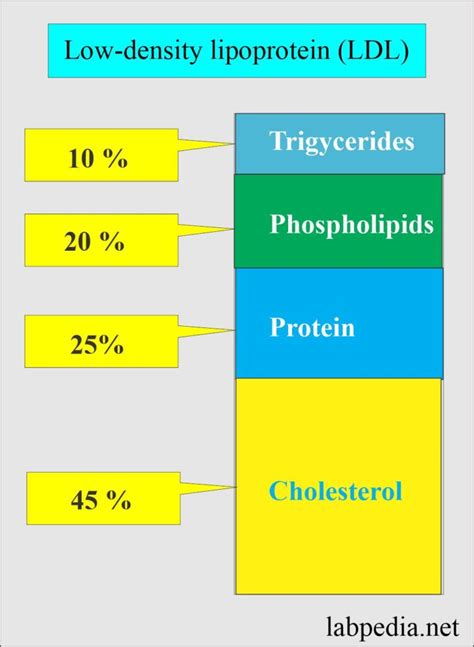 Lipoprotein Part 2 Low Density Lipoprotein Ldl Ldl Cholesterol