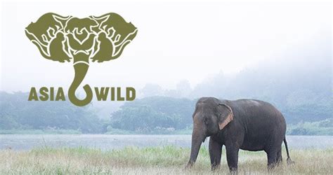 Endangered Species | Asia Wild