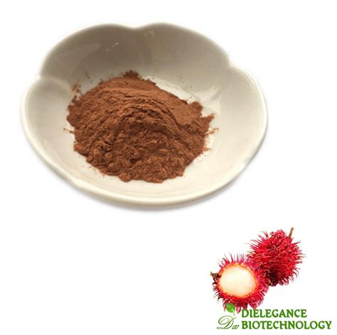 Source Rambutan Extract | Bulk Wholesale Rambutan Extract Powder