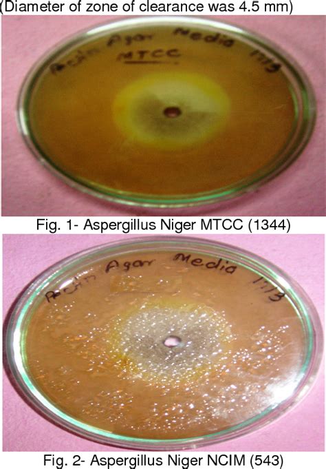 Pdf Study Of Pectinase Production In Submerged Fermentation Using