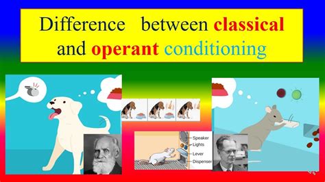 Difference Between Classical And Operant Conditioning Psychology