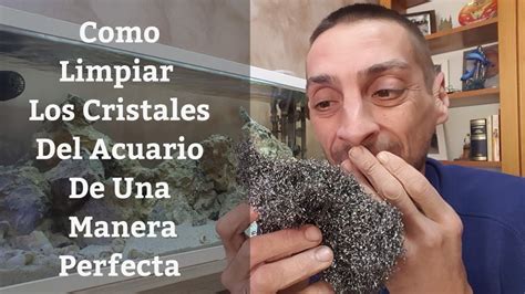 Como Limpiar Los Cristales Del Acuario O La Pecera De Una Manera