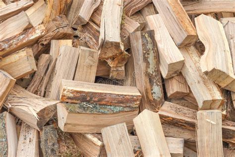 Chopped Oak Wood Firewood Stock Image Image Of Stump