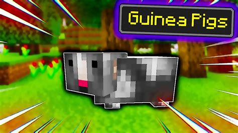 Minecraft But There Are Guinea Pigs Modded Survival 1 Youtube