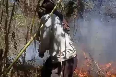 Kebakaran Hutan Dan Lahan Di Lereng Gunung Sumbing Bisa Dikendalikan