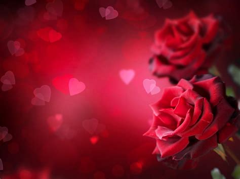 Imagenes Con Corazones Y Rosas Imagenes De Amor