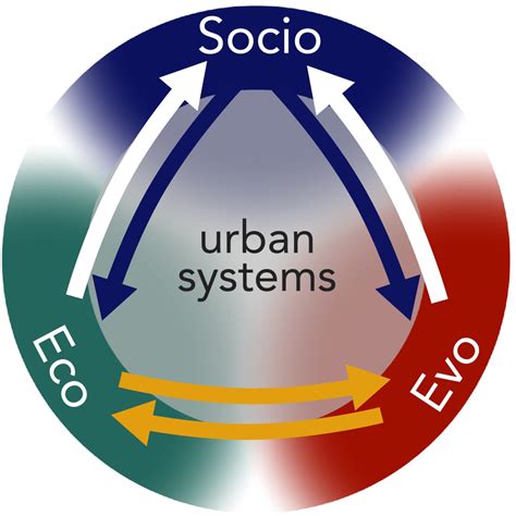 Detailed Dynamics Among Social Ecological And Evolutionary Patterns