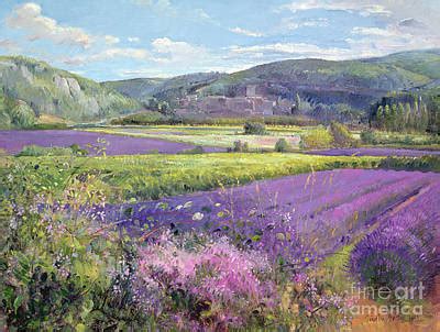 Provence Art Prints | Fine Art America