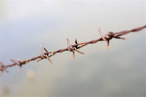 All The Types Of Barbed Wire A Quick Reference Fence Frenzy