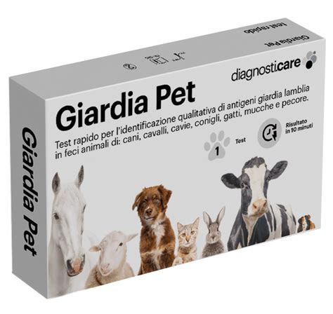 Test Giardia Lamblia Diagnosti Care