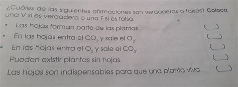 Cu Les De Las Siguientes Afirmaciones Son Verdaderas O Falsas Coloca