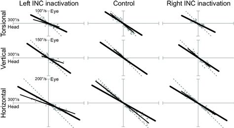 Torsional Vertical And Horizontal Vestibuloocular Reflex Vor Gain