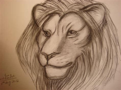 Free Lion Head Drawing, Download Free Lion Head Drawing png images ...