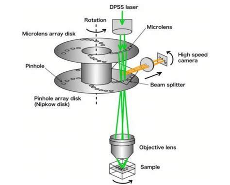 5 Principle Of The Spinning Disk Confocal Microscopy Image Adapted