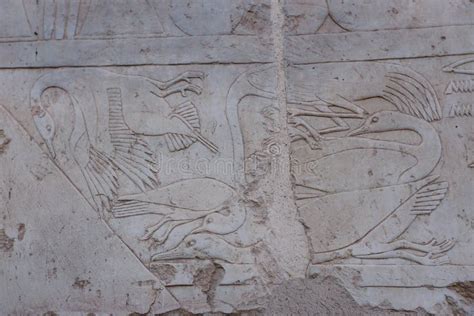 Antiguo Dibujo Egipcio En Las Paredes Del Templo Mortuario De