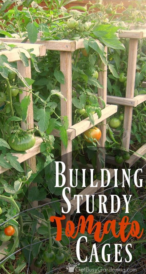 How To Make Sturdy Diy Tomato Cages Growing Tomato Plants Tomato