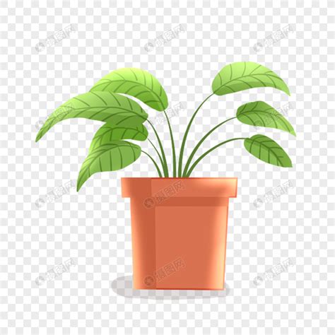 Potted Plants Pots Green Plant Potted Plants Png Transparent