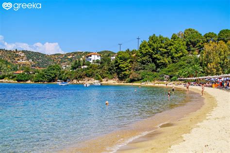 Skiathos Kolios Beach Photos Map Greeka