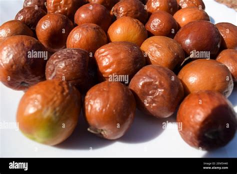 Regu Chettu Hi Res Stock Photography And Images Alamy