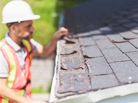 Reasons Your Roof Needs Regular Inspections