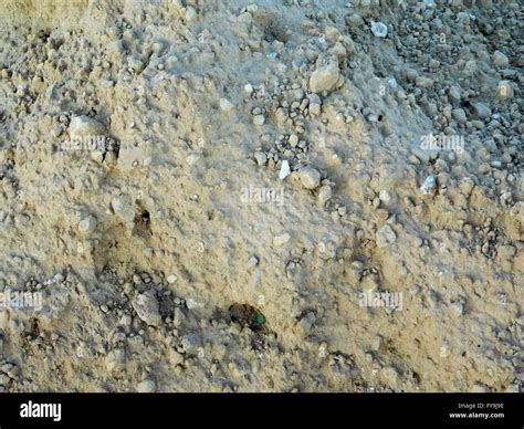 texture of land Stock Photo - Alamy