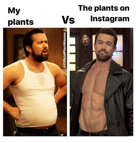 Facts. Credit officialplantmemes on ig : r/succulents