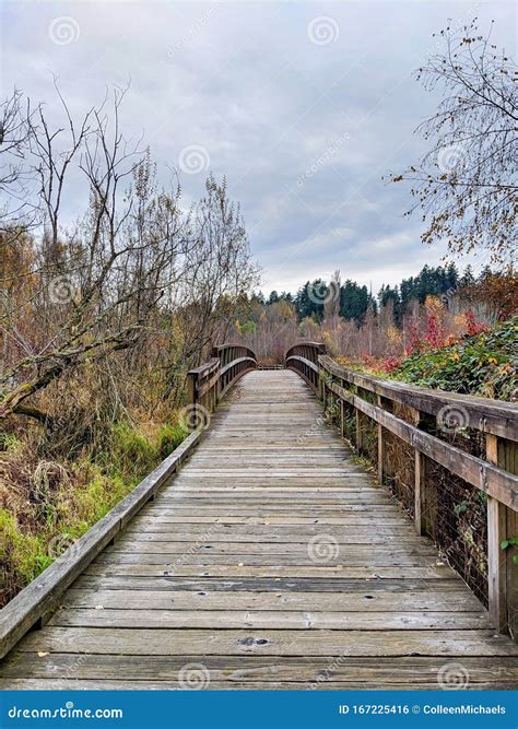 Walking Bridge Along Mercer Slough Environmental Park in Downtown