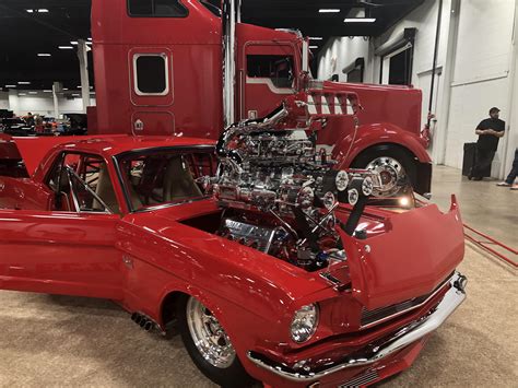 I Present You With What Ever The Fuck Is Going On Here R