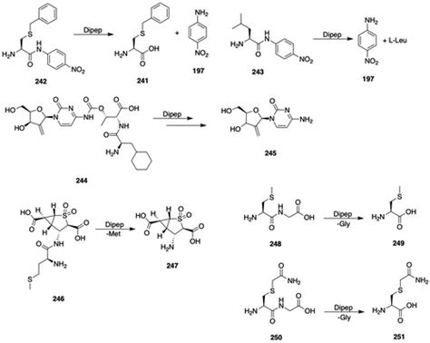 Full Article The Mercapturic Acid Pathway