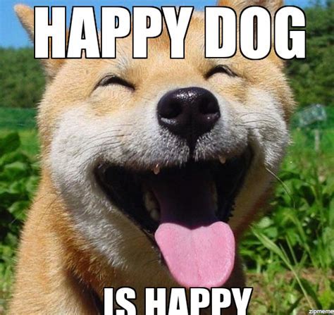 Happy puppy Memes