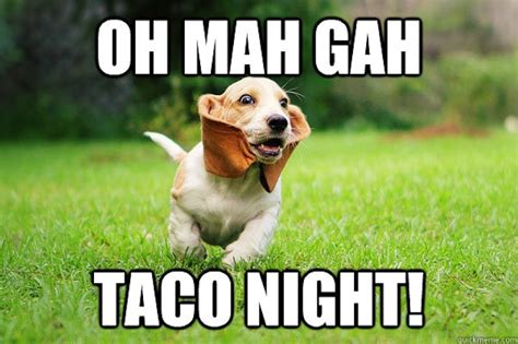 9 National Taco Day Memes That Celebrate Your Favorite Food