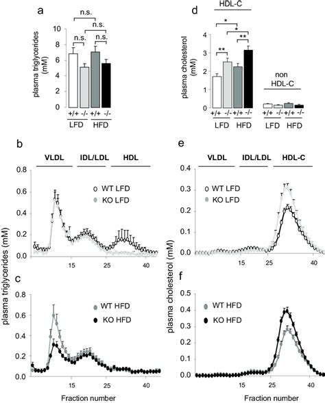 Plasma Hdl Cholesterol Levels Is Elevated In Thb ÀÀ Mice A Plasma