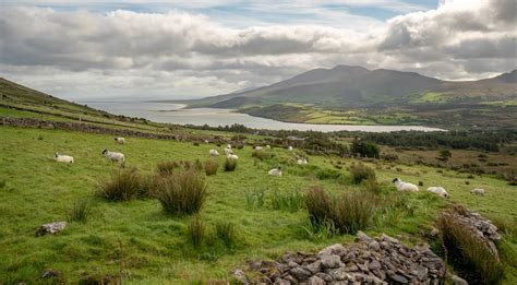 Rural Landscape Dingle Peninsula 2 Telepathic Stuntman