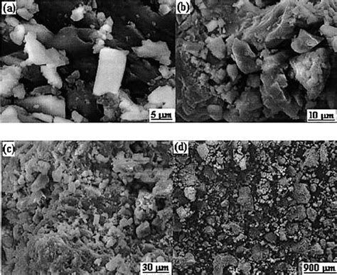 SEM Images For Ammonium Phosphate NH 4 PO 3 Powder With Different