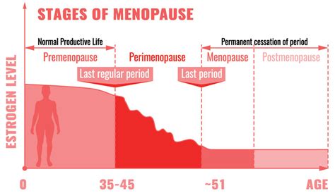 Postmenopausal Syndrome What To Expect And How To Treat It