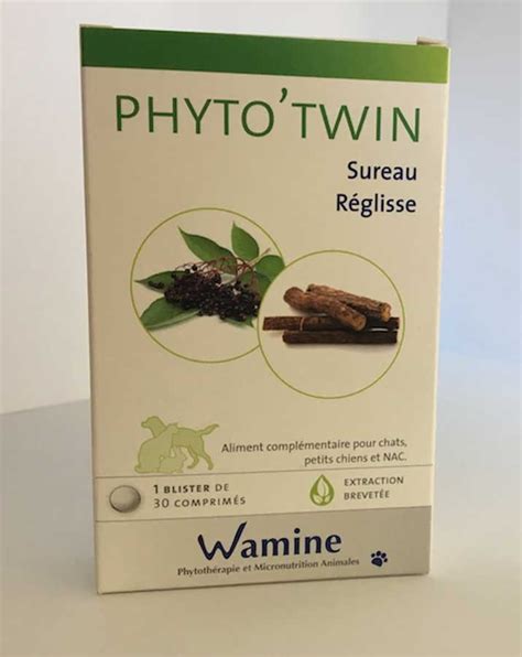 Phyto Twin Réglisse Sureau Soutien des défenses naturelles