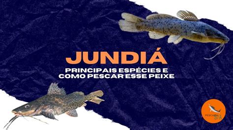 Jundiá Principais espécies e como pescar esse peixe Pescaria S A