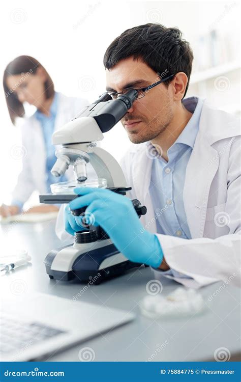 Investigation Stock Image Image Of Profession Zika 75884775