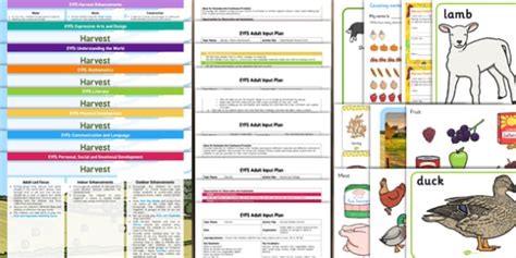 EYFS Harvest Lesson Plan Enhancement Ideas And Resources Pack